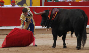 Imponente trapío el del toro que hirió a Julián. (Foto: Berho)