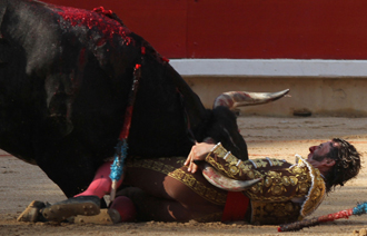 Padilla, entre los pitones del primer miura. (Foto: Berho)