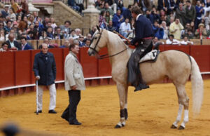 Tres de los toros reseñados para Valencia.