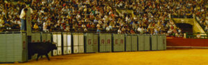 Tradición y espectáculo. (Foto: Alberto de Jesús)