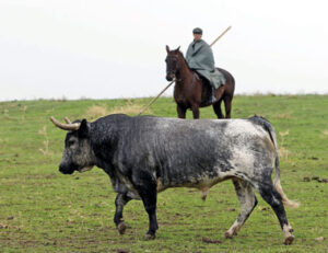 El número 41, "Buenastardes", saldrá en segundo lugar. (Foto: Templaíto)