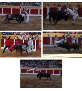 (Foto: José Salvador)