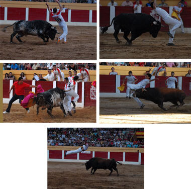 Semifinal de la Liga de recorte puro