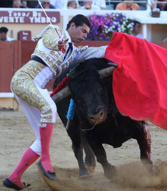 Cornada a Román Pérez en Bayona