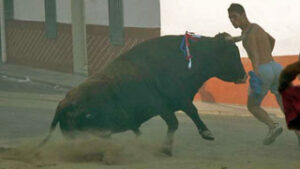 Toro de Campo Cerrado. (Foto: Fernando Juárez)