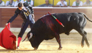 El Fandi calentó a las peñas. (Foto: Álvaro Calvo)