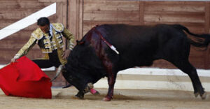 Ponce, doblándose con uno de sus toros. (Foto: Almero)