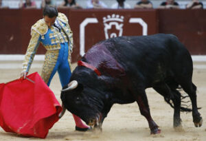 Ponce, asentada la planta. (Foto: Almero)