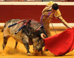 Aguilar, al natural. (Foto: Amandine SEGOT / Terres Taurines)