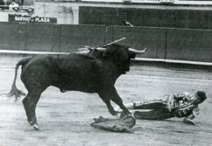 Momento de la fatal cogida.