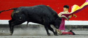 Así de arreado salió Manzanares en el sexto, pero ni por esas... (Foto: Arjona)