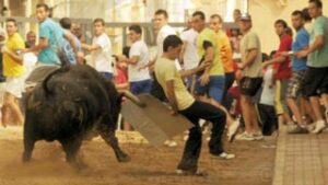 (Foto: Torodigital)