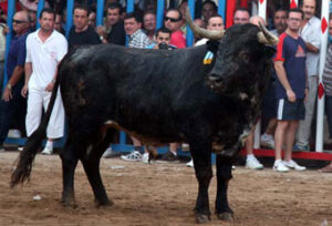 (Foto: Fernando Juárez)