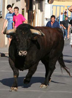 Notable Carrascosa, aprobado justo el de Concha y Sierra