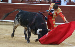 Padilla cuajó naturales de nota alta. (Foto: Víctor Zafrilla)