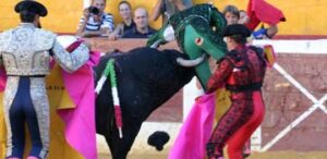 Momento del tremendo percance del Chano. Foto: Guillermo Lorente