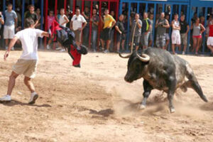 (Foto: Fernando Juárez)