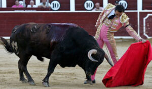 Natural de El Cid al cuarto del festejo. (Foto: Moratalla Barba)