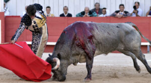 Aguilar, sobre la diestra ante el toro de La Quinta. Foto: Isabelle Dupin