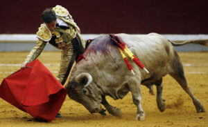 El Juli, sobre la diestra con un jabonero de Cuvillo. (Foto: Arjona)