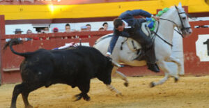 Mariano Rojo puso espectáculo en Algemesí. (Foto: Mateo)