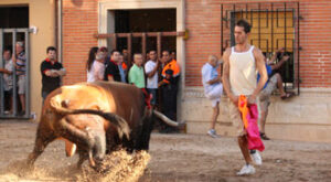 (Foto: Jorge)