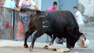 (Foto: Fernando Juárez)
