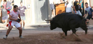 (Foto: Fernando Juárez)