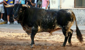 (Foto: Fernando Juarez)