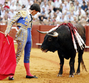 Plata parece, oro no es