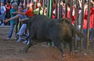 (Foto: Fernando Juárez)