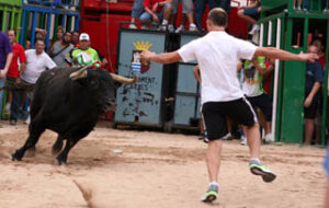(Foto: Fernando Juárez)