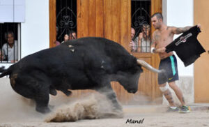 (Foto: Manel)