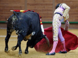 Buen derechazo del salmantino Del Álamo. (Foto: Arjona)