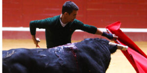 Momento en el que Manzanares recayó de su lesión ayer. Foto: Teseo Comunicación.