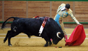 Un natural de Saldívar (Foto: Arjona)