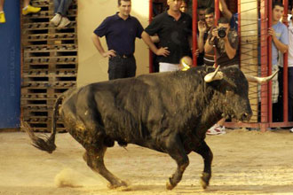 Uno de Victoriano del Río y otro de José Escolar abren las fiestas