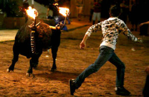 Toro embolado de El Torero. (Foto: F. Juárez)