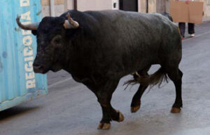 (Foto: Fernando Juárez)