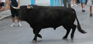 (Foto: Fernando Juárez)