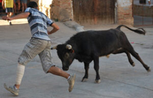 (Foto: Aragontaurina.es)