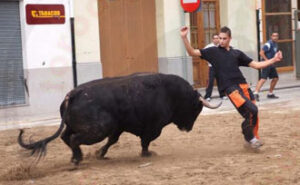 (Foto: Torodigital)