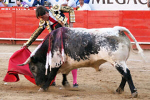 Antonio Barrera, sobre la diestra. (Foto: Emilio Méndez)