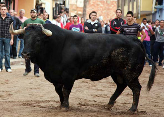 Ofensivo Sánchez Urbina