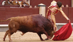 (Foto: Vivas)