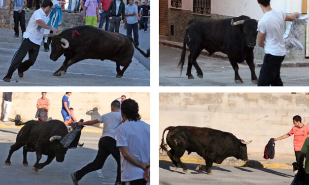 Guadalmena para la Vall