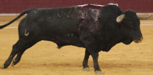 "Remendón", de Cuadri.