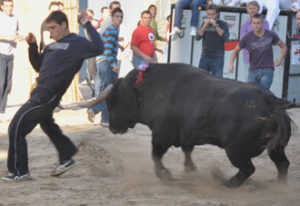 (Foto: MOLINA)