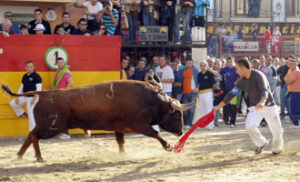 (Foto: Torodigital)