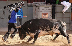 (Foto: Fernando Juárez)